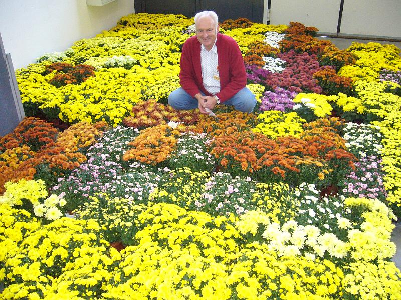 Munster 2009 154.jpg - Hahn in der Blume ( Blumenschmuck der Ausstellung)